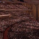 Mormon General Conference